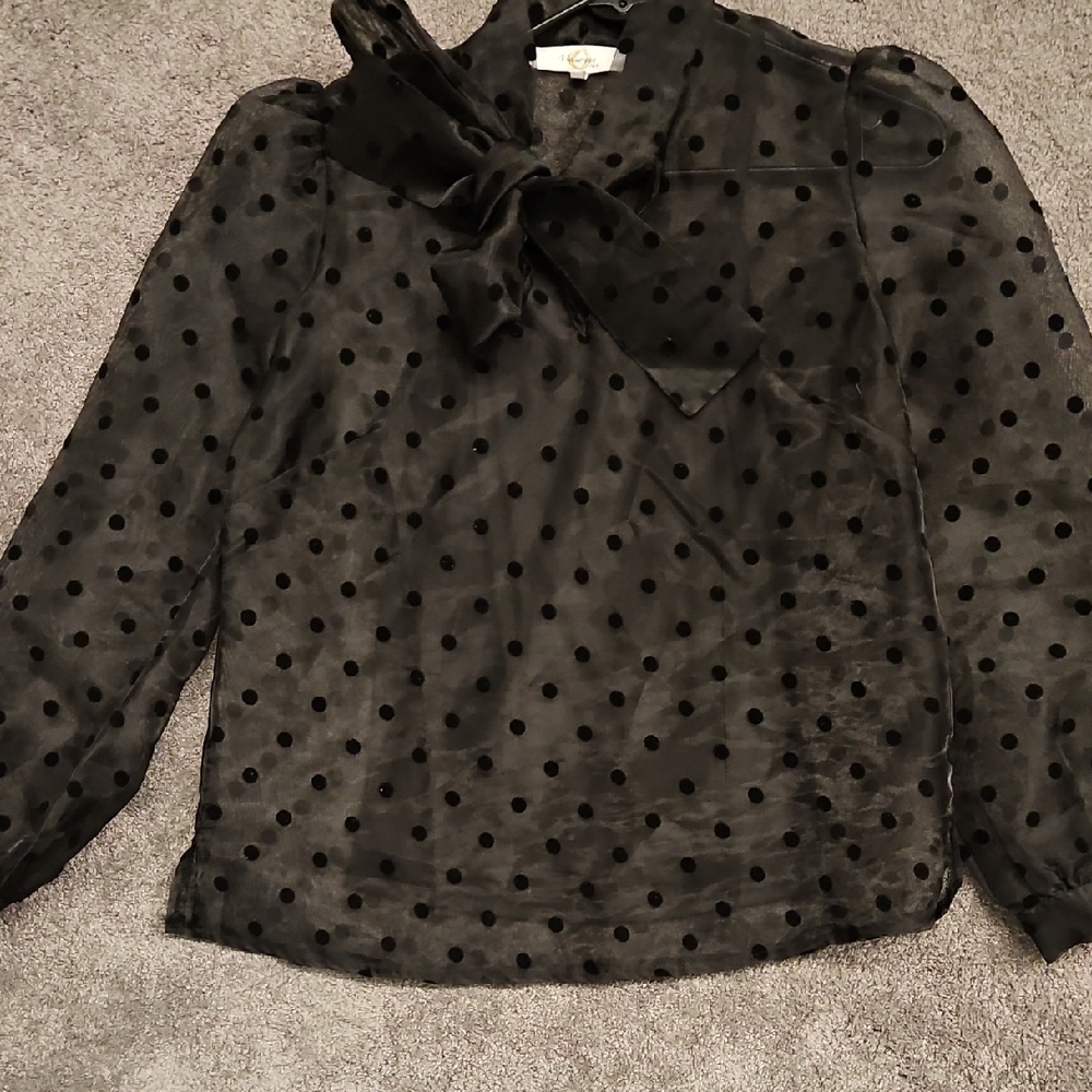 Black Sheer Tie Front Blouse with Peter Pan Collar